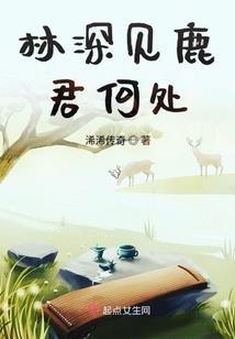 林与露
