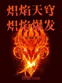 书武大陆