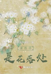 日出时刻