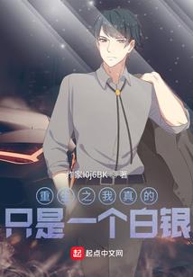 至尊天才高手