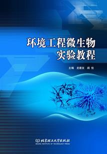 冷艳女人的合租恋情