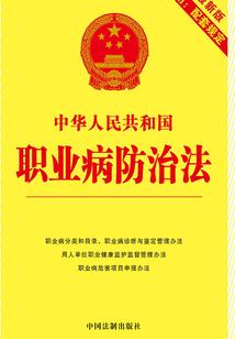 最后的刺客