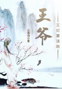 双面的天使sx