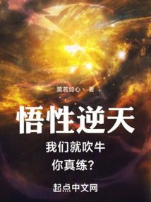 崇祯帝之讨伐天命