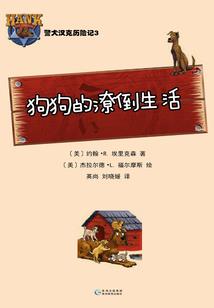黑猫铲屎官