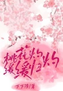 逝去之天使之泪