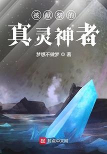 偷菜也疯狂