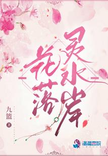 一本正经的书