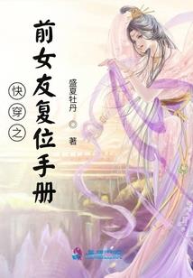 某只阿尔法型天使的旅途